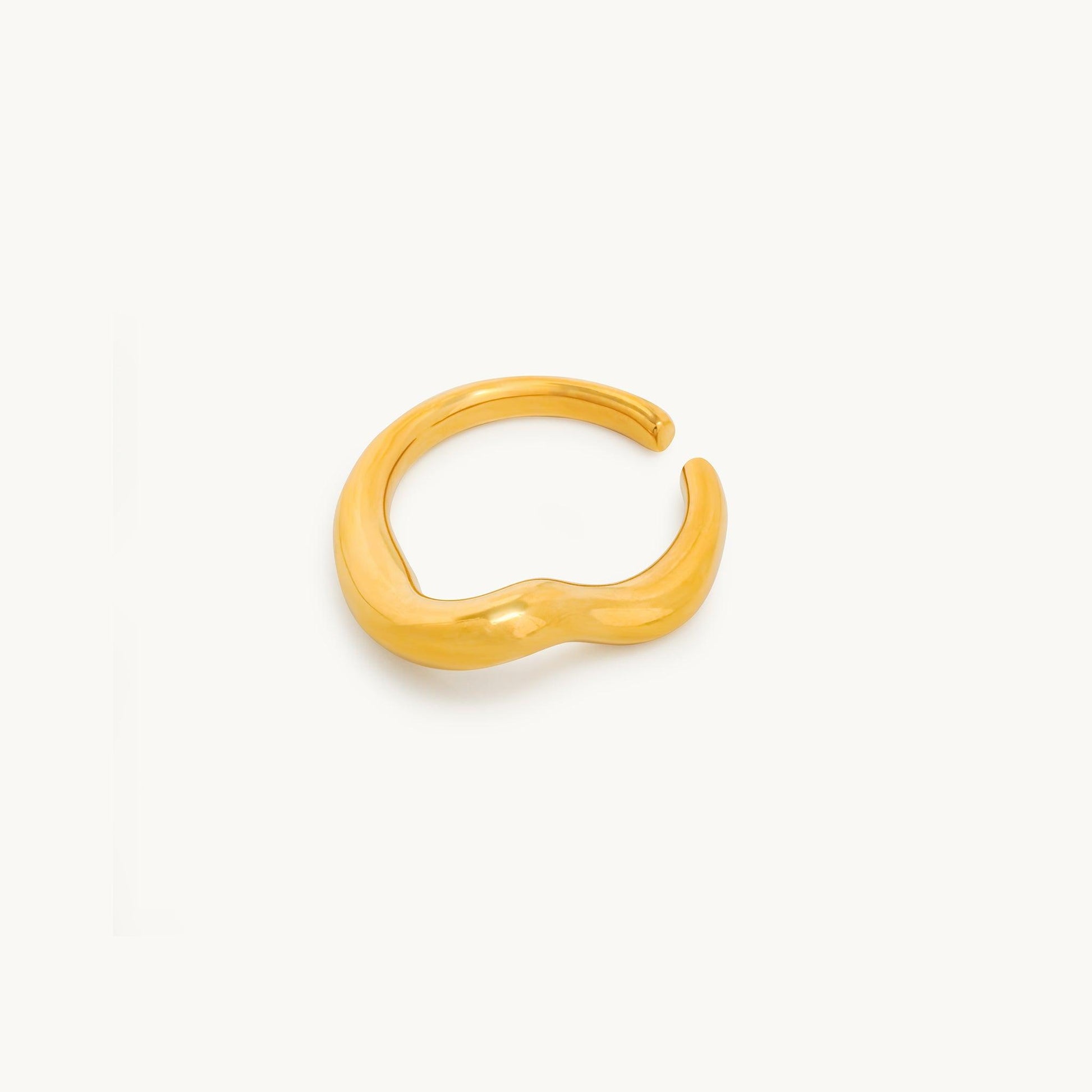 Ara Ring-2