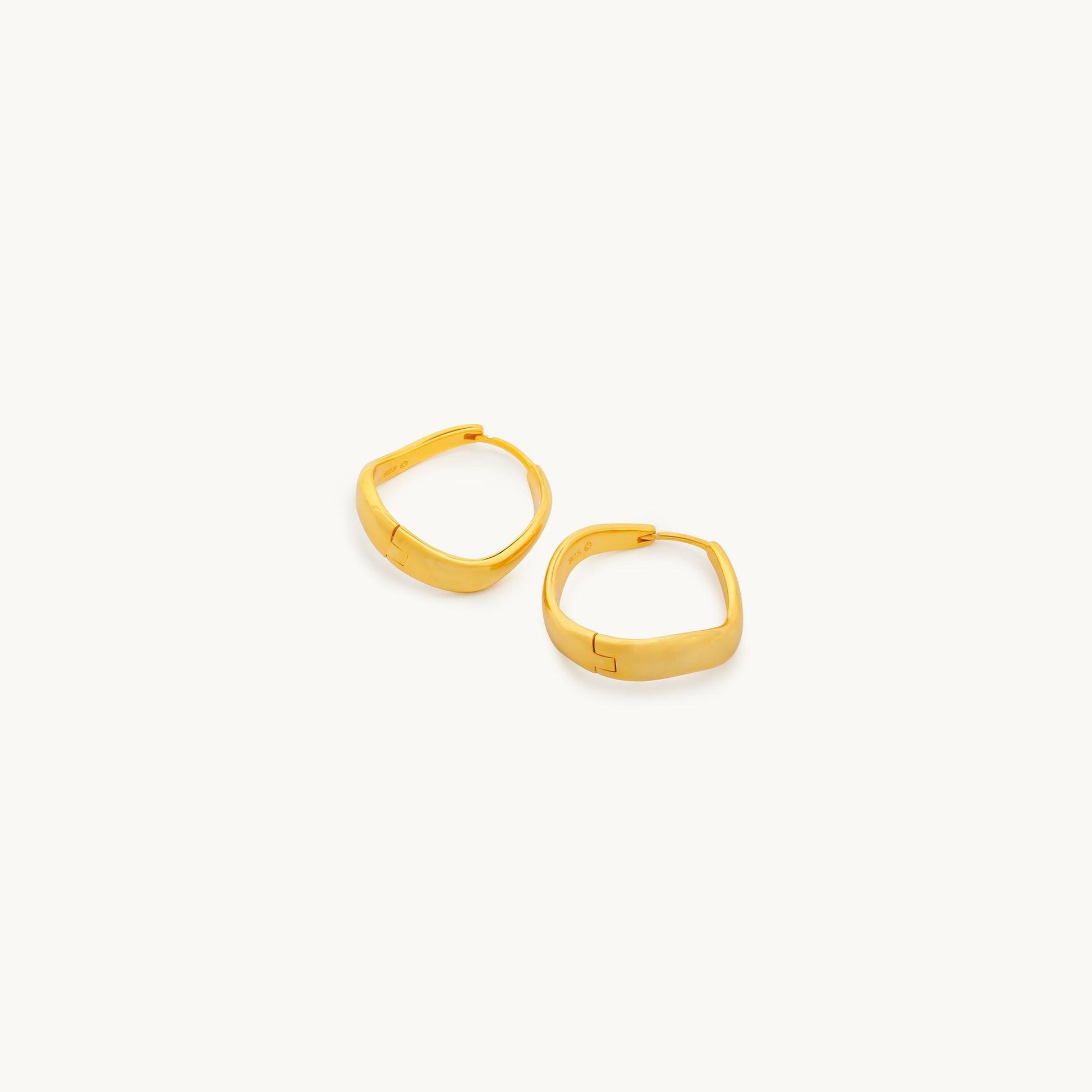 Ara Earrings-3