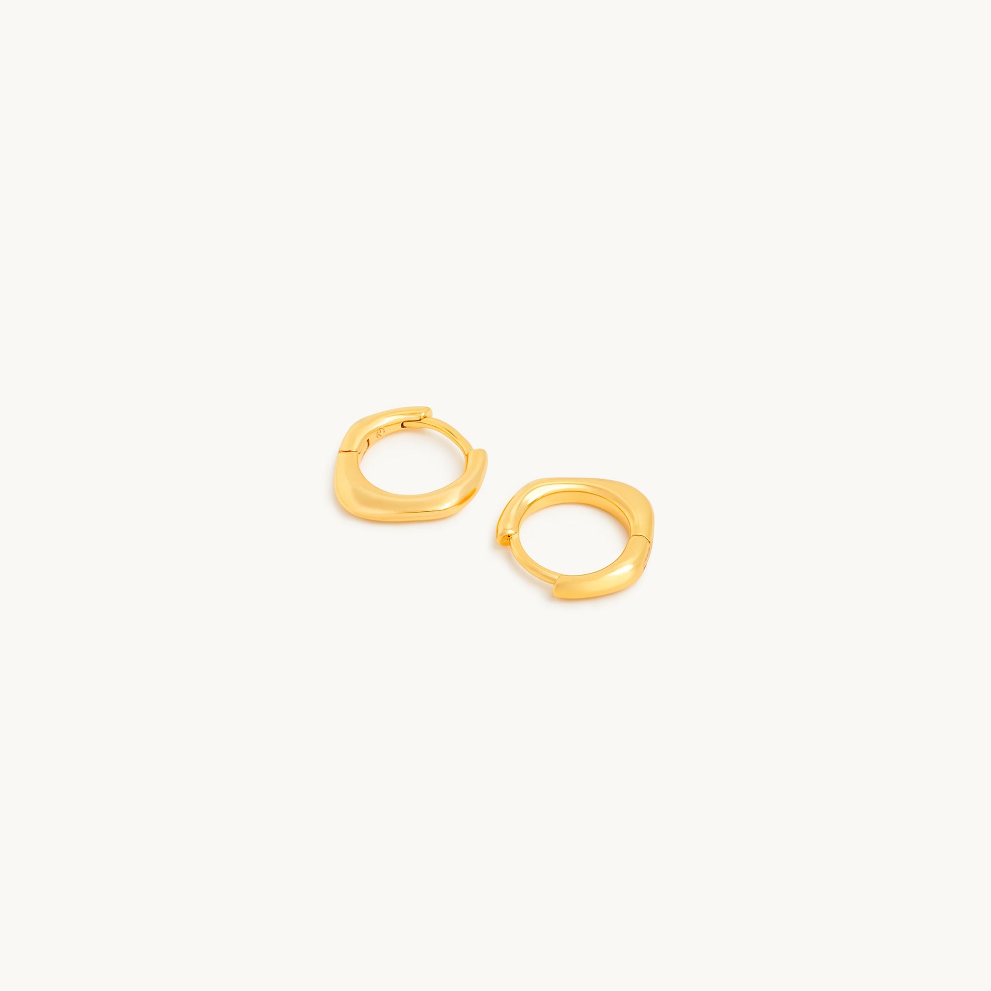 Shape of Water Earrings-0